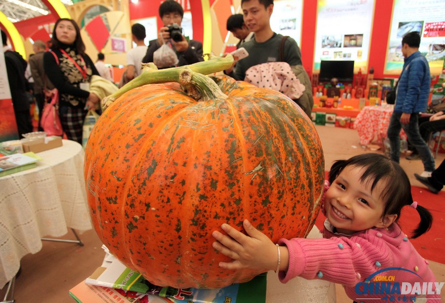 中國(guó)日?qǐng)?bào)一周圖片精選:11月2日—8日