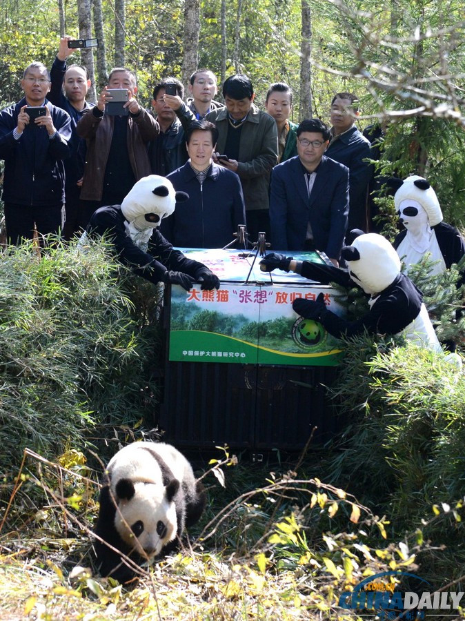 中國(guó)日?qǐng)?bào)一周圖片精選：11月2日—8日