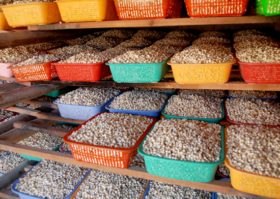 甘肅西和乞巧文化助推產業轉型提振縣域經濟