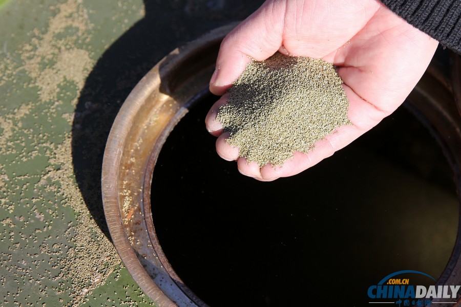 鄭州警方集中銷毀13萬發廢棄彈藥