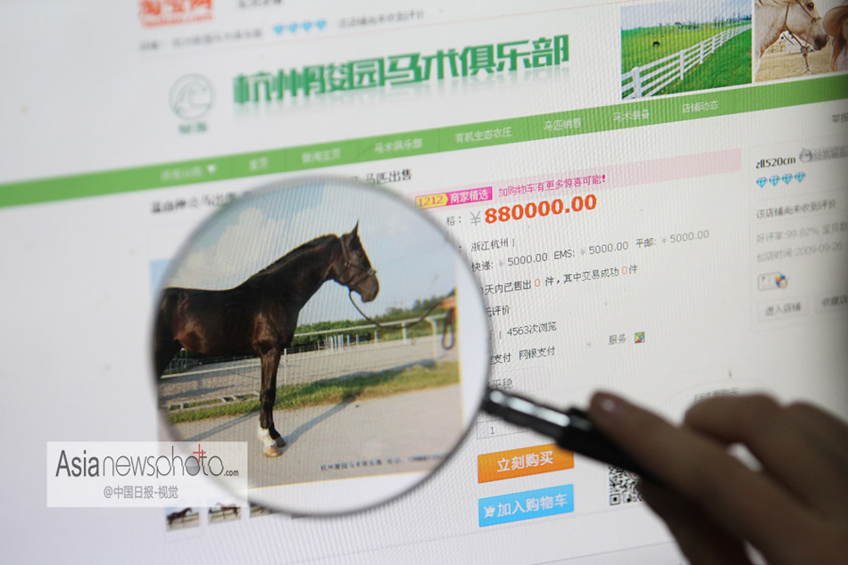 中國日報一周圖片精選：12月7日—13日