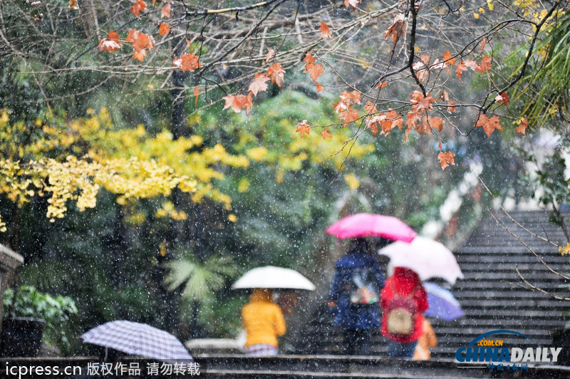 南方持續(xù)雨雪第三日 昆明機(jī)場(chǎng)延長臨時(shí)關(guān)閉時(shí)間