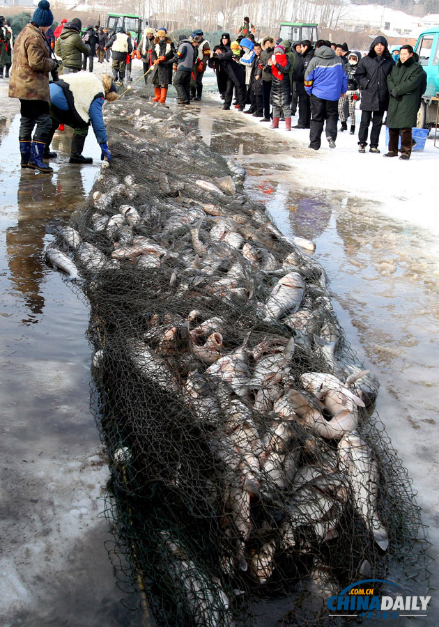 吉林長(zhǎng)春石頭口門水庫開網(wǎng)捕魚