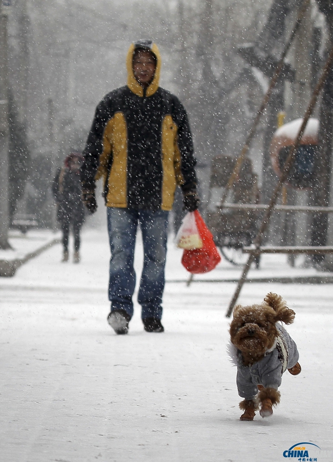 北京迎來(lái)馬年新春第一場(chǎng)降雪