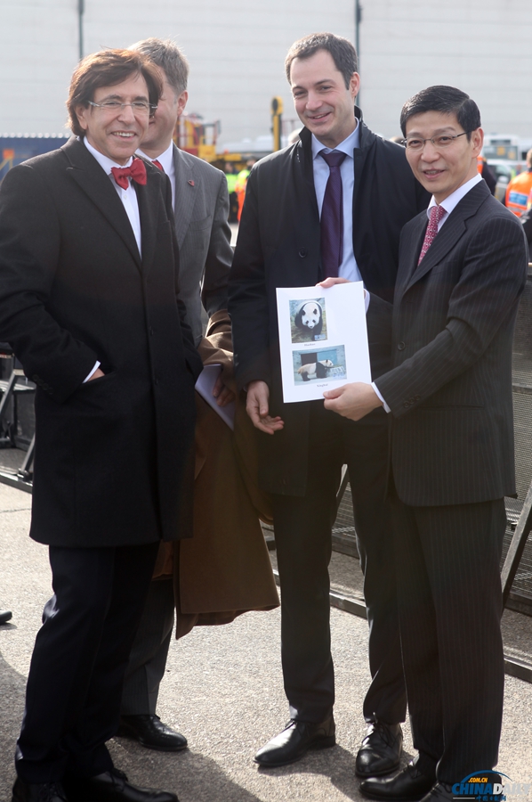 大熊貓“星徽”“好好”抵達(dá)比利時