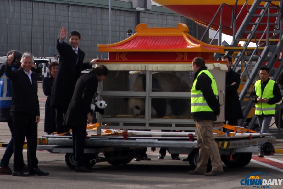 大熊貓“星徽”“好好”抵達比利時