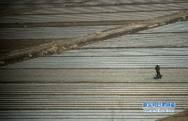 甘肅：覆膜抗旱保春耕