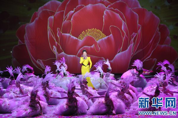 牡丹花開 共享國色 第31屆洛陽牡丹文化節(jié)開幕