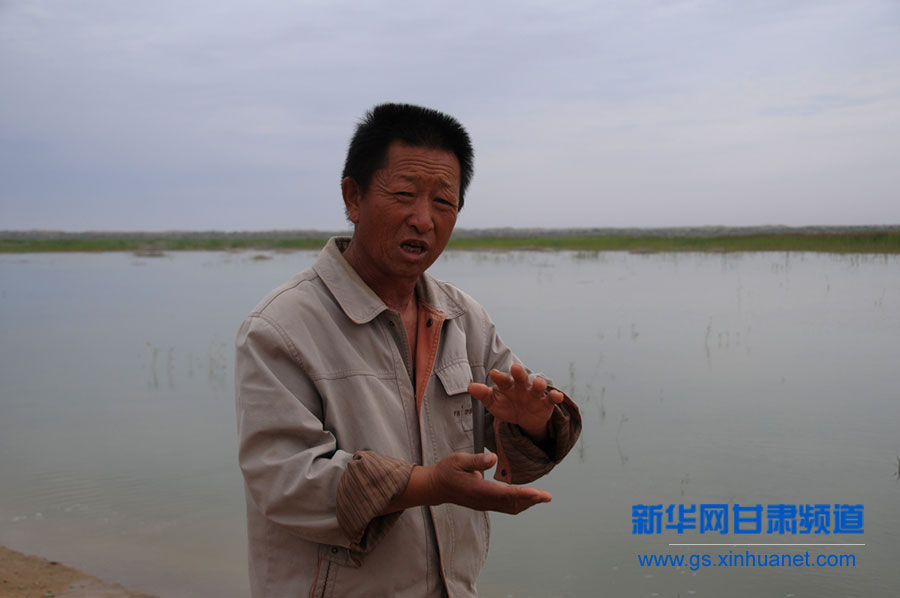 干涸半個世紀的甘肅民勤青土湖重現碧波