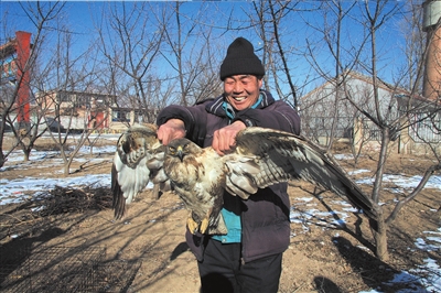 護林員巡山救下落難病鵟