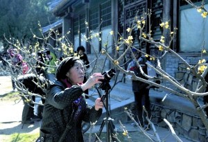北京下周將現(xiàn)大風(fēng)降溫 供暖時(shí)間或不會(huì)延長(zhǎng)(圖)