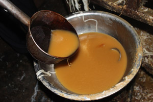 北京假冒烤鴨成本僅3元 部分用病死雞作原料