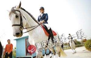 重慶馬術隊將落戶巴濱路馬術中心 可免費看千萬元純種馬表演
