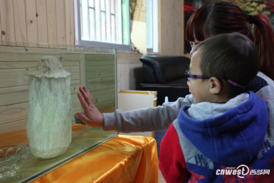 重慶城口頻現千年“神物”：銀白太歲、千年杜鵑王 圖
