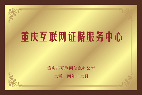 重慶互聯(lián)網(wǎng)證據(jù)服務(wù)中心成立 落戶華龍網(wǎng)