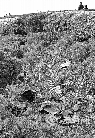 重慶一輛奧迪A8轎車連蹦帶跳“飛”上云南5米高大壩