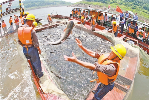 新常態下,尋求農業發展方式新轉變