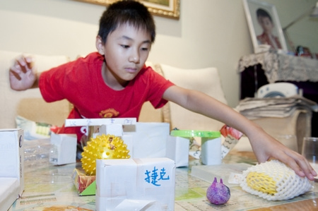 9歲男孩6進(jìn)世博做記者 廢紙盒做出12場館(圖)