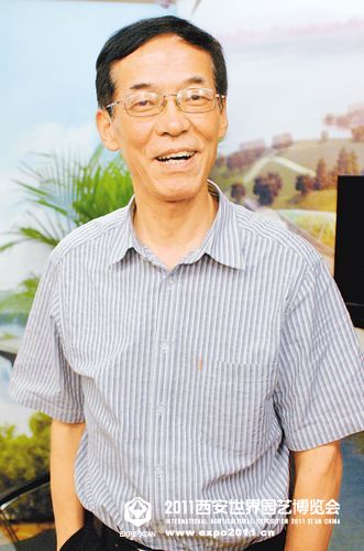 《送你一個(gè)長安》唱出幸福感