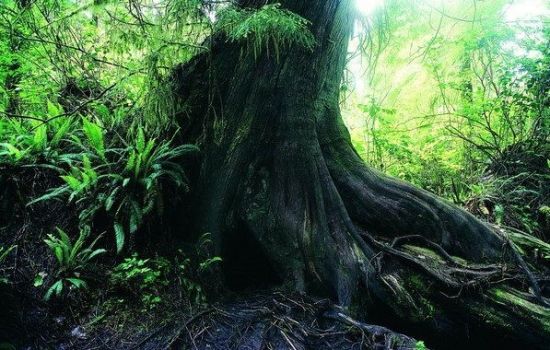 感受自然好去處 盤點省內最誘人的天然氧吧