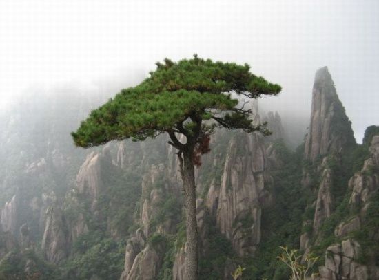 感受自然好去處 盤點省內最誘人的天然氧吧