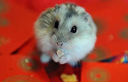 15大最奇怪的機(jī)場命名