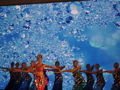 第三屆南洋文化節鷺島開幕