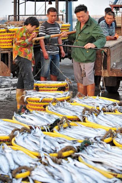 福建漁民講述赴釣魚(yú)島海域捕撈見(jiàn)聞