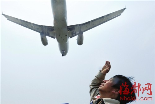 福州機場驅鳥人：鳥兒是對手，更是朋友