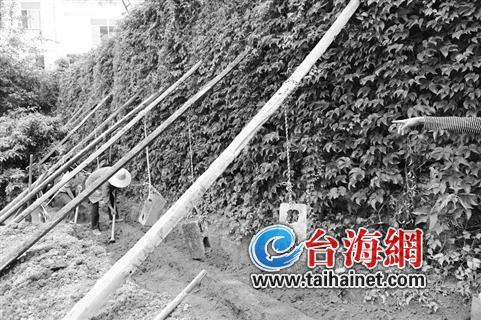 廈門一地下儲油罐老化泄漏 地下水暫未受污染(組圖)