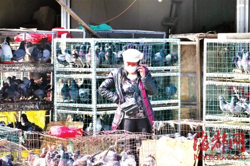 關(guān)閉一個月后 海峽家禽市場今起重開賣活禽