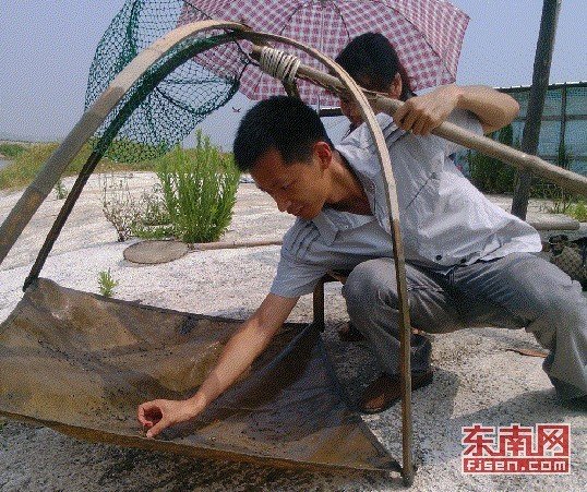 廈大研究生放棄20萬年薪 到農村當村官