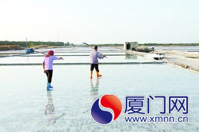 廈門大嶝鹽場昨關閉 曾是廈門唯一定點食鹽鹽場