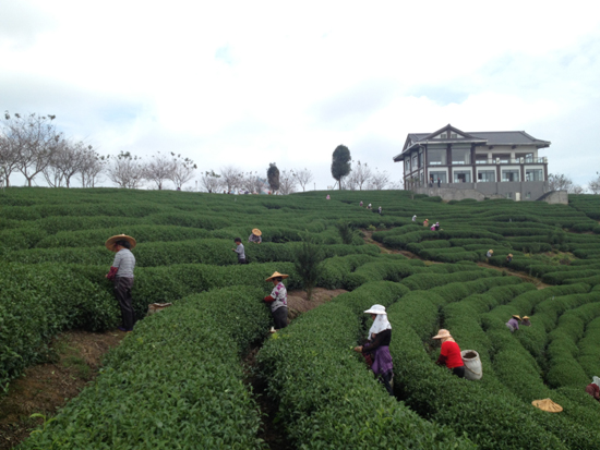 漳平臺(tái)灣農(nóng)民創(chuàng)業(yè)園:臺(tái)緣山莊旅游綜合體啟動(dòng)