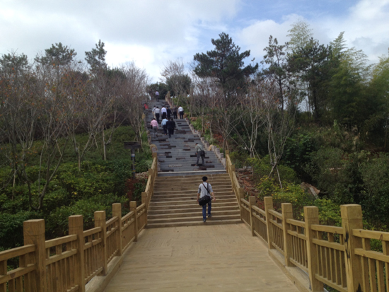 漳平臺灣農民創業園:臺緣山莊旅游綜合體啟動