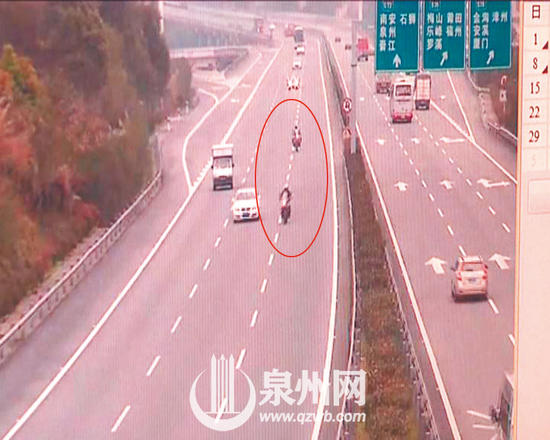 兩男子為看油菜花騎寶馬摩托狂飆 每輛價值30萬