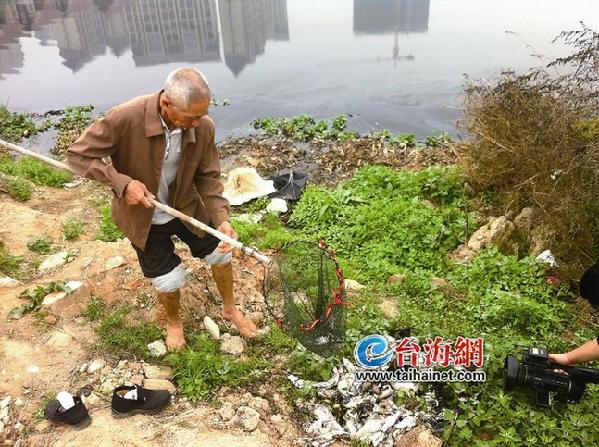 九天湖全面清淤截污 集美通報調(diào)查報告及解決方案