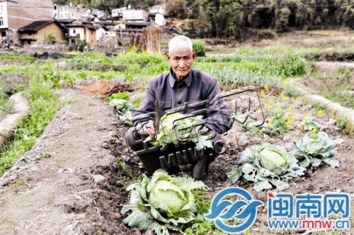 永春80歲老伯囚禁瘋兒20年 守著一畝三分地撫養(yǎng)
