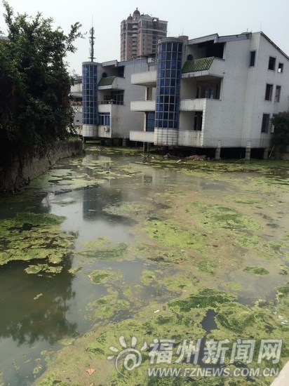 福州多條內河現污水直排 截污面臨治理難管理難