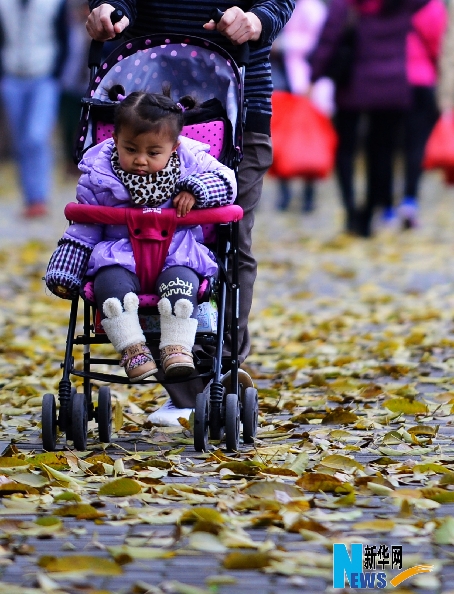 福州試點“落葉不掃” 打造城市浪漫景觀