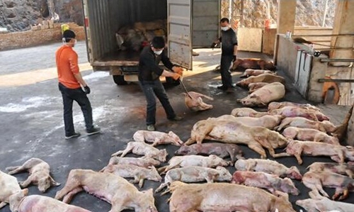 福建一周反腐動態(tài)：南安市委書記黃南康被查 前一任駱國清已落馬