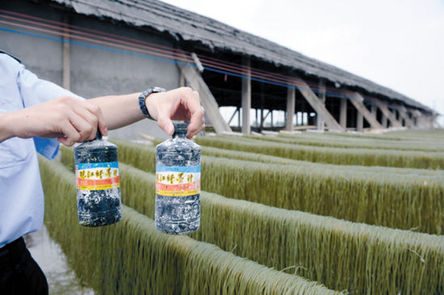 墨汁紅薯粉老板自爆：往粉條里“加料”是行規(guī)