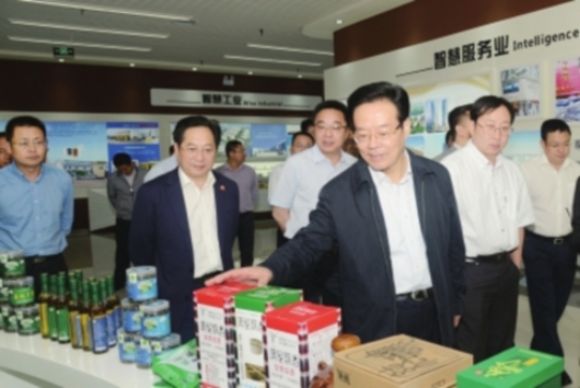 侯曉春到岳池調研農村電商發展與脫貧攻堅等情況