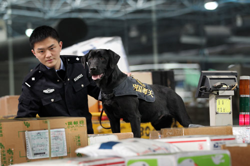 海關(guān)訓犬員的故事