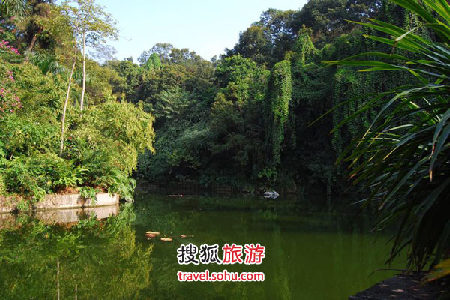 “綠城”南寧 歌舞升平絕對奔放