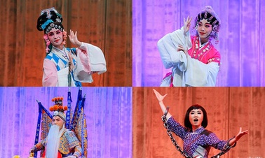 廣西舉辦戲曲青年演員比賽 12個(gè)劇種同臺“飚戲”