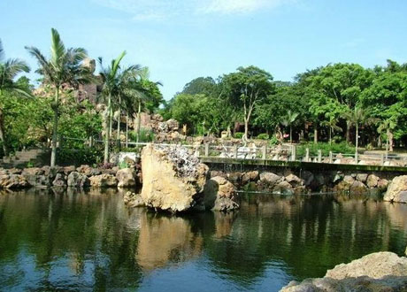 石山火山群：萬年死火山