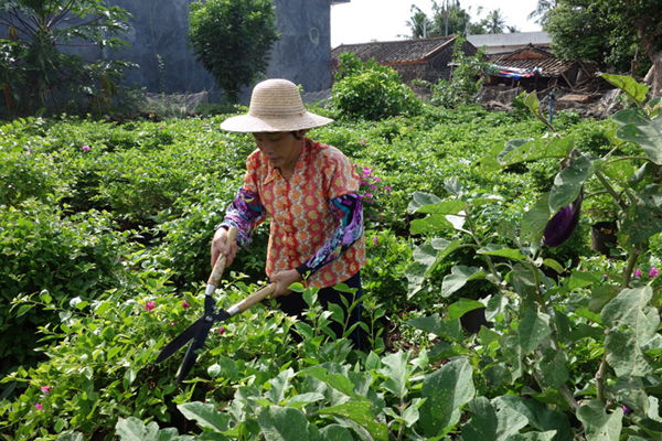 海南文明生態村巡禮之一——讓鄉村變得更美麗