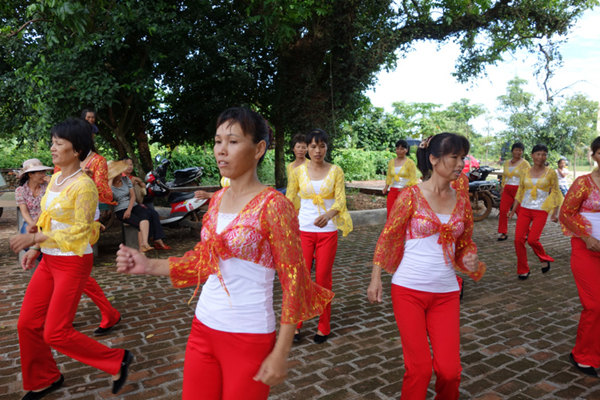 海南文明生態村巡禮之一——讓鄉村變得更美麗