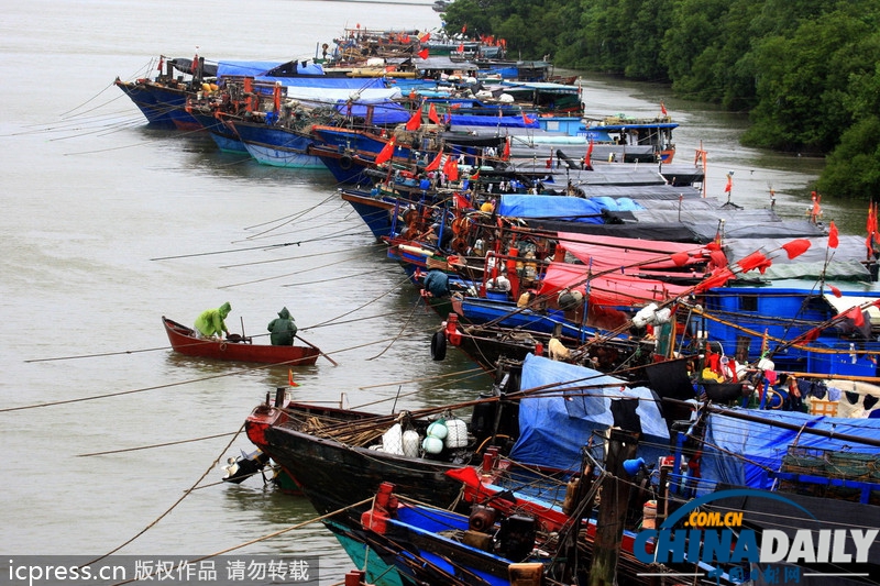 海南防風(fēng)響應(yīng)升至III級(jí) 臺(tái)風(fēng)“百合”致2萬余漁船回港避風(fēng)